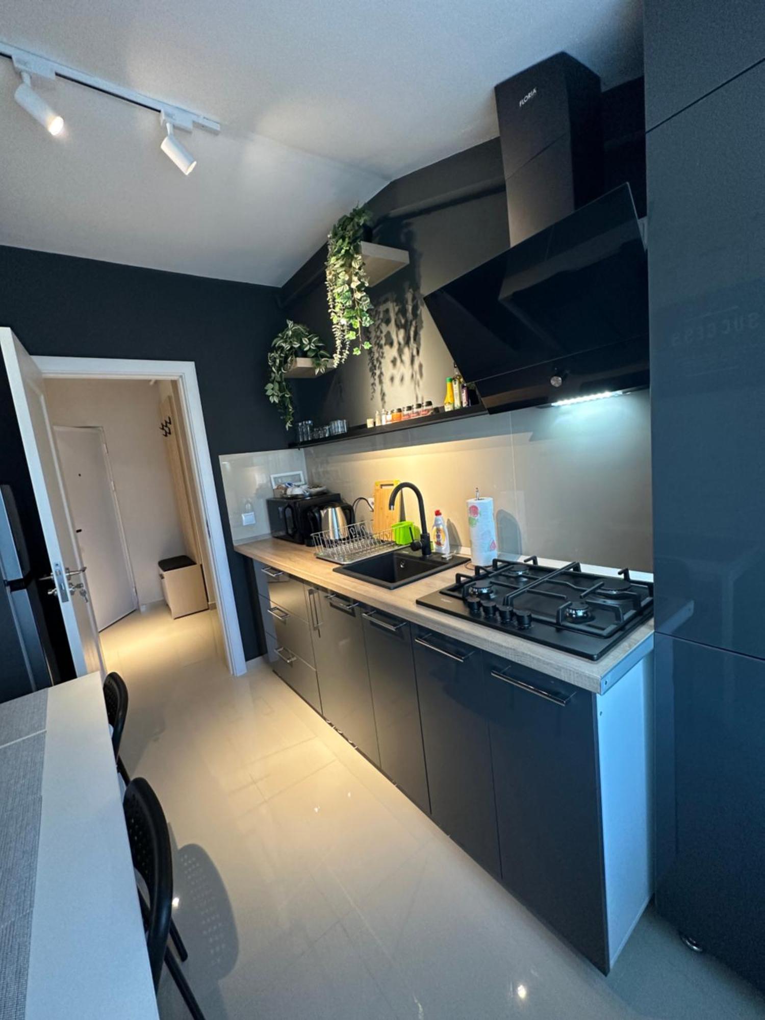 Complex Rediu 54 Luxury Apartaments ヤシ エクステリア 写真